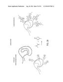 Multifunctional Degradable Nanoparticles with Control over Size and     Functionalities diagram and image