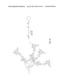 Multifunctional Degradable Nanoparticles with Control over Size and     Functionalities diagram and image