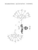 Multifunctional Degradable Nanoparticles with Control over Size and     Functionalities diagram and image