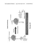 Multifunctional Degradable Nanoparticles with Control over Size and     Functionalities diagram and image