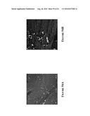 Multifunctional Degradable Nanoparticles with Control over Size and     Functionalities diagram and image