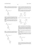 Multifunctional Degradable Nanoparticles with Control over Size and     Functionalities diagram and image