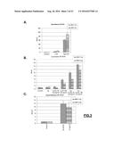 RNY-DERIVED SMALL RNAS AS BIOMARKERS FOR ATHEROSCLEROSIS-RELATED DISORDERS diagram and image