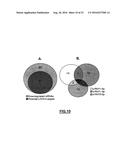 RNY-DERIVED SMALL RNAS AS BIOMARKERS FOR ATHEROSCLEROSIS-RELATED DISORDERS diagram and image