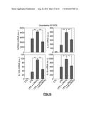 RNY-DERIVED SMALL RNAS AS BIOMARKERS FOR ATHEROSCLEROSIS-RELATED DISORDERS diagram and image