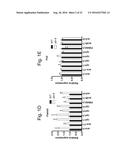 MARKERS FOR LIPID METABOLISM diagram and image