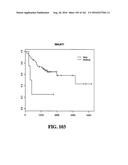 DIAGNOSTIC METHODS FOR DETERMINING PROGNOSIS OF NON-SMALL CELL LUNG CANCER diagram and image