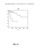 DIAGNOSTIC METHODS FOR DETERMINING PROGNOSIS OF NON-SMALL CELL LUNG CANCER diagram and image