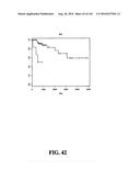 DIAGNOSTIC METHODS FOR DETERMINING PROGNOSIS OF NON-SMALL CELL LUNG CANCER diagram and image