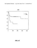 DIAGNOSTIC METHODS FOR DETERMINING PROGNOSIS OF NON-SMALL CELL LUNG CANCER diagram and image