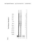 RNA DISRUPTION ASSAY FOR PREDICTING SURVIVAL diagram and image