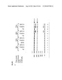 RNA DISRUPTION ASSAY FOR PREDICTING SURVIVAL diagram and image