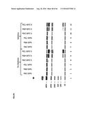 RNA DISRUPTION ASSAY FOR PREDICTING SURVIVAL diagram and image