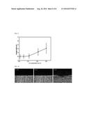 PERFORATION RESISTANCE IMPROVED ALUMINUM ALLOY FOR HEAT EXCHANGER,     PERFORATION RESISTANCE IMPROVED ALUMINUM EXTRUSION TUBE AND FIN MATERIAL     COMPRISING ALUMINUM ALLOY, AND HEAT EXCHANGER FORMED OF EXTRUSION TUBE     AND FIN MATERIAL diagram and image