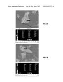 GAS DELIVERY APPARATUS FOR PROCESS EQUIPMENT diagram and image