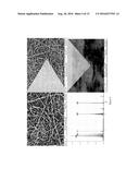 GROUP IV NANOWIRES GROWN FROM INDUCTIVELY OR RESISTIVELY HEATED SUBSTRATES diagram and image