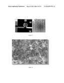 GROUP IV NANOWIRES GROWN FROM INDUCTIVELY OR RESISTIVELY HEATED SUBSTRATES diagram and image