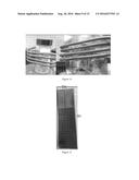 GROUP IV NANOWIRES GROWN FROM INDUCTIVELY OR RESISTIVELY HEATED SUBSTRATES diagram and image