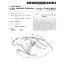 Jewelry-Stylus Device diagram and image