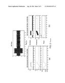 TWO-STAGE DIGITAL DOWN-CONVERSION OF RF PULSES diagram and image