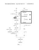 RECOMBINANT ACETOGENIC BACTERIUM FOR THE CONVERSION OF METHANE TO PRODUCTS diagram and image