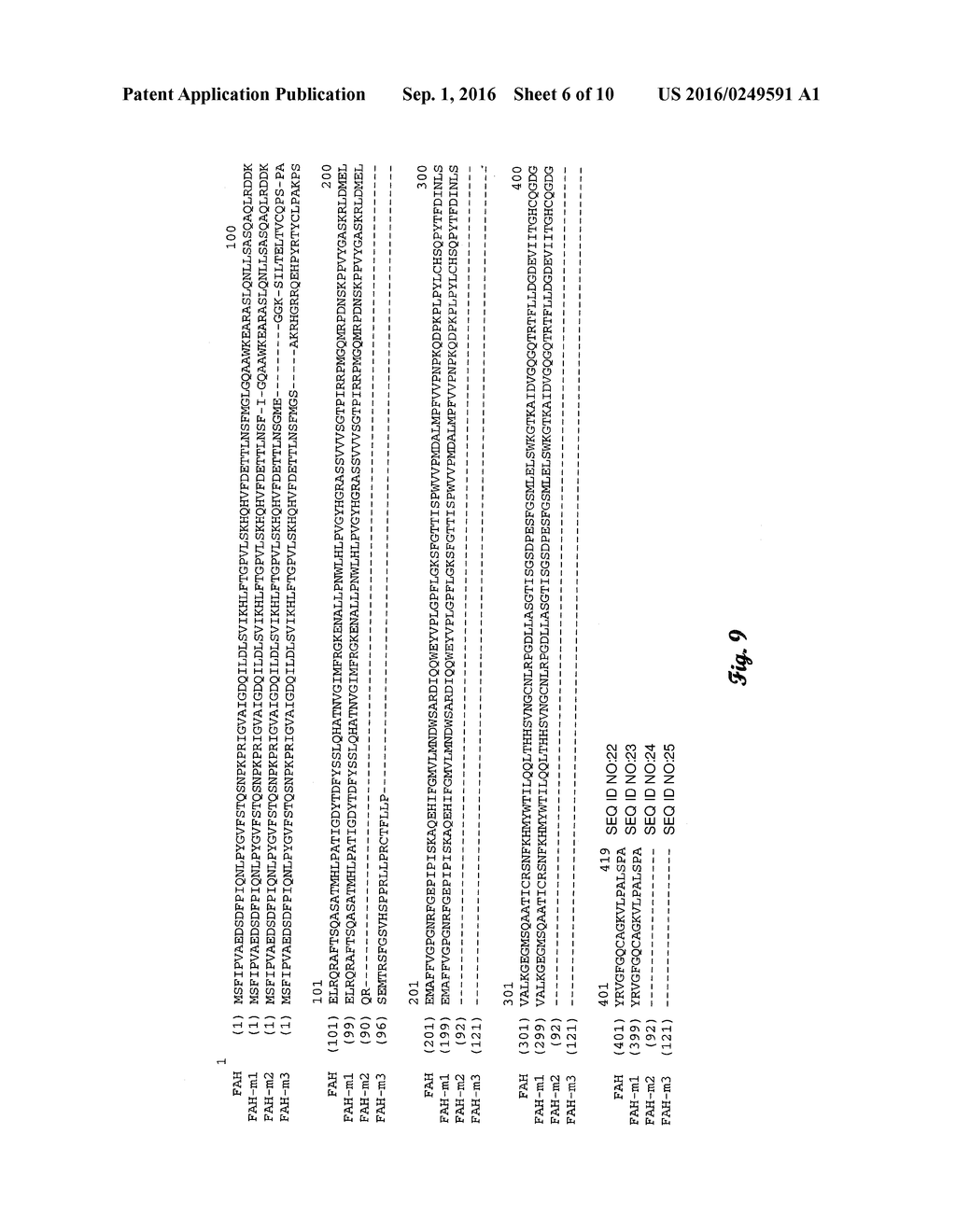 FUMARYLACETOACETATE HYDROLASE (FAH)-DEFICIENT AND IMMUNODEFICIENT RATS AND     USES THEREOF - diagram, schematic, and image 07