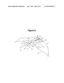 Hinging and Rotating Coupler Mechanism for Avian Spinning Wing Decoy diagram and image