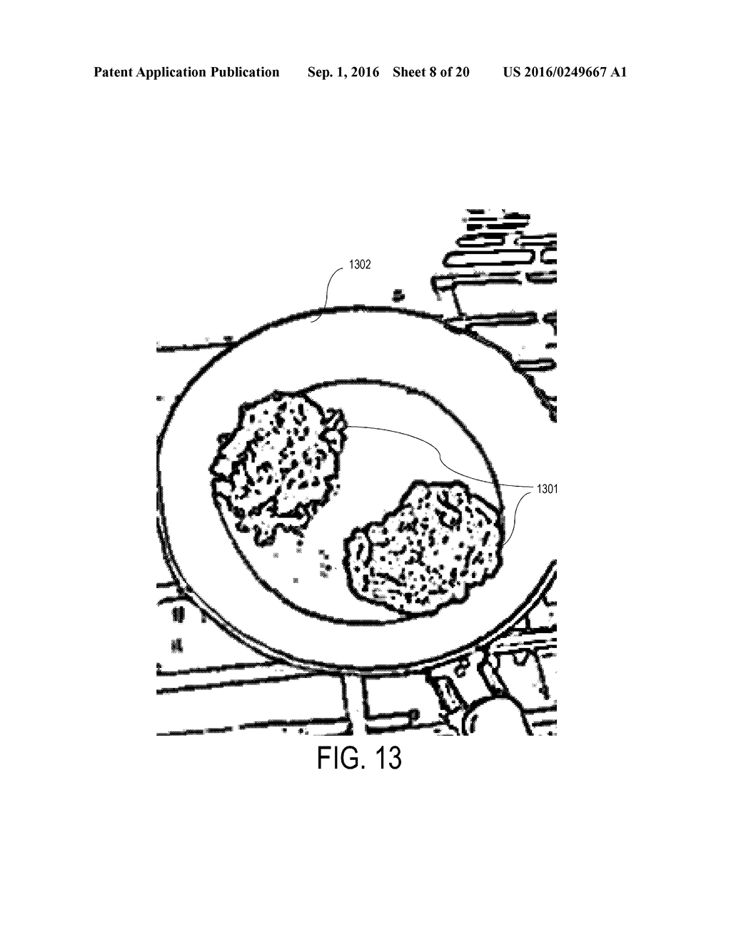 Multipurpose Moisture-Preserving Raw Lobster Products Formed From Intact     Tail Slices and Methods For Manufacturing Same - diagram, schematic, and image 09