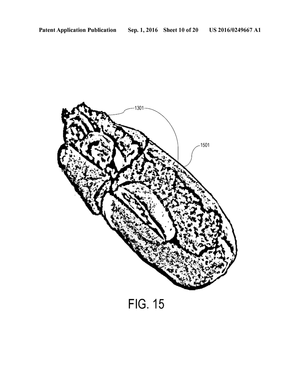 Multipurpose Moisture-Preserving Raw Lobster Products Formed From Intact     Tail Slices and Methods For Manufacturing Same - diagram, schematic, and image 11