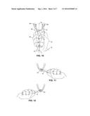 FLOSSING DEVICE WITH ASYMMETRICALLY CURVED AND BULBOUS HANDLE diagram and image