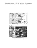 STRETCHABLE ELECTRONICS FOR ARTIFICIAL SKIN diagram and image