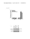 Nanogel-Mediated Drug Delivery diagram and image