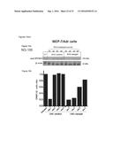 Nanogel-Mediated Drug Delivery diagram and image