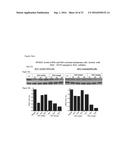 Nanogel-Mediated Drug Delivery diagram and image