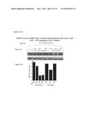 Nanogel-Mediated Drug Delivery diagram and image