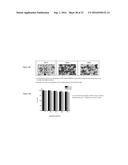 Nanogel-Mediated Drug Delivery diagram and image