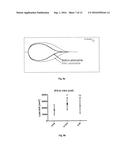 SYSTEMIC PRO-HEMOSTATIC EFFECT OF SYMPATHICOMIMETICS WITH AGONISTIC     EFFECTS ON ALFA-ADRENERGIC AND/OR BETA-ADRENERGIC RECEPTORS OF THE     SYMPATHETIC NERVOUS SYSTEM, RELATED TO IMPROVED CLOT STRENGTH diagram and image