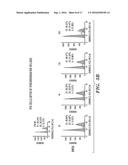 N-METHYL PYRAZOLOANTHRONE FOR TREATMENT OF CANCER diagram and image