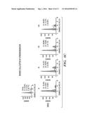 N-METHYL PYRAZOLOANTHRONE FOR TREATMENT OF CANCER diagram and image