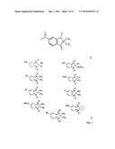 SEPARASE INHIBITORS AND USES THEREOF diagram and image