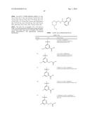 SUBSTITUTED MORPHOLINES AS MODULATORS FOR THE CALCIUM SENSING RECEPTOR diagram and image