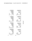 OREXIN-CONTROL OF BONE FORMATION AND LOSS diagram and image