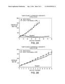 PREDICTIVE BIOMARKER FOR HYPOXIA-ACTIVATED PRODRUG THERAPY diagram and image