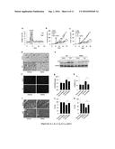 METHODS AND PHARMACEUTICAL COMPOSITIONS FOR MODULATING AUTOPHAGY IN A     SUBJECT IN NEED THEREOF diagram and image