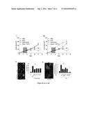 METHODS AND PHARMACEUTICAL COMPOSITIONS FOR MODULATING AUTOPHAGY IN A     SUBJECT IN NEED THEREOF diagram and image