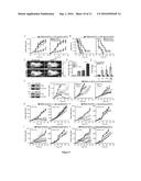 METHODS AND PHARMACEUTICAL COMPOSITIONS FOR MODULATING AUTOPHAGY IN A     SUBJECT IN NEED THEREOF diagram and image