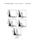 METHOD OF TREATING A MALIGNANCY IN A SUBJECT AND A PHARMACEUTICAL     COMPOSITION FOR USE IN SAME diagram and image