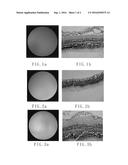 EXTRACT OF ZINIGIBER ZERUMBET FOR DIABETIC RETINOPATHY diagram and image