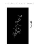 PEPTIDOMIMETIC MACROCYCLES diagram and image