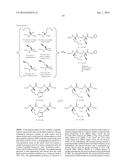 PEPTIDOMIMETIC MACROCYCLES diagram and image